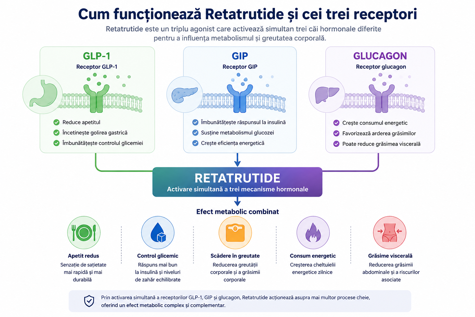 Cum funcționează Retatrutide și cei trei receptori