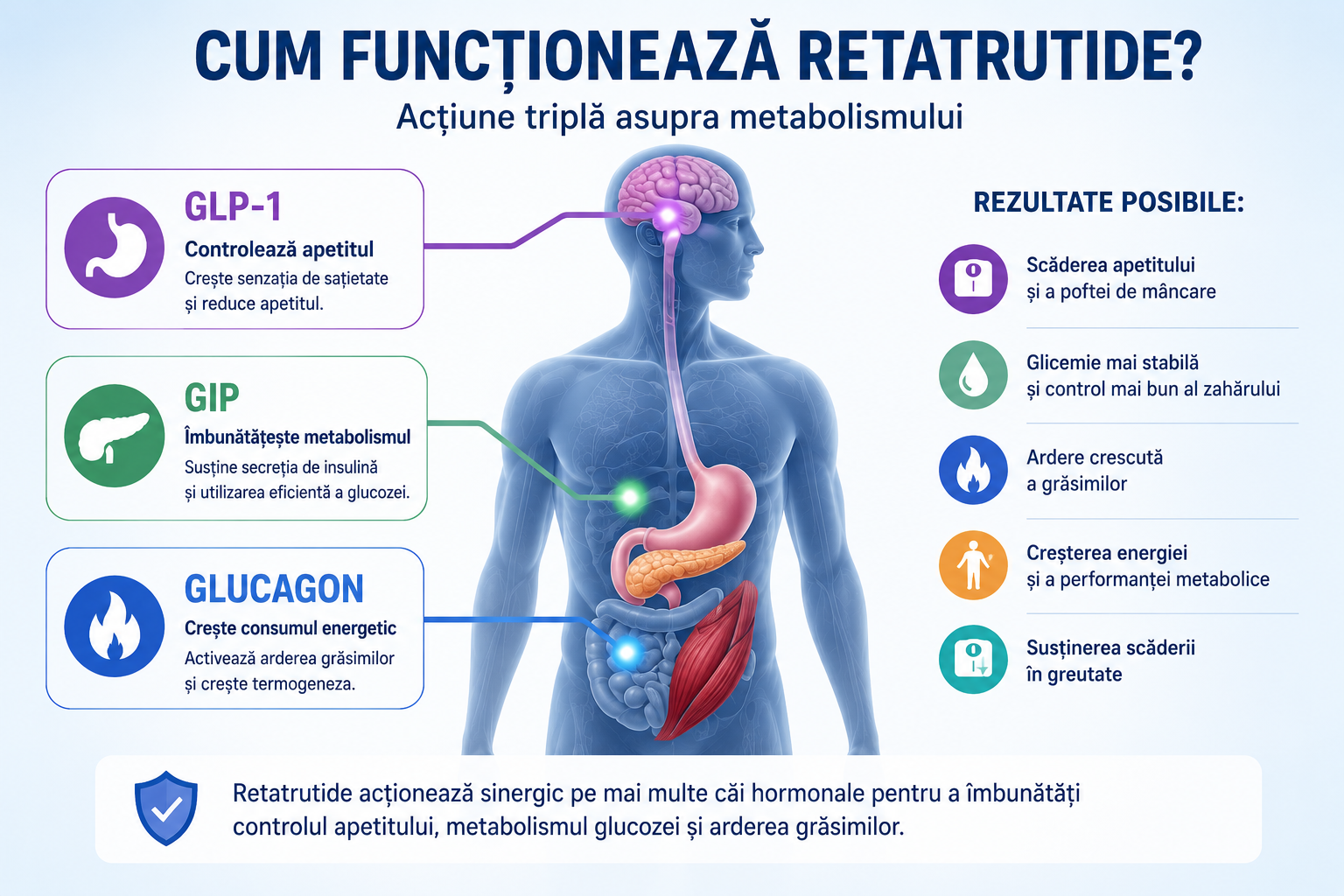 Cum funcționează Retatrutide și mecanismul GLP-1 GIP glucagon