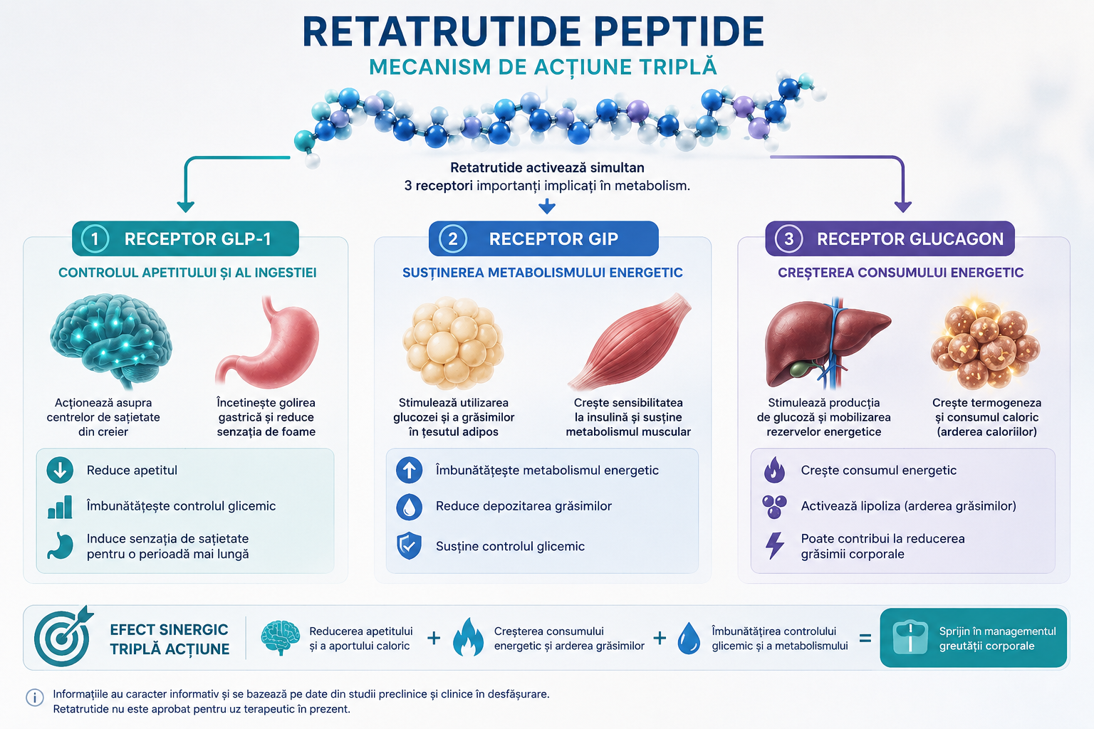 Retatrutide Peptide - Mecanism de Acțiune Mecanismul de acțiune al Retatrutide Peptide asupra receptorilor GLP-1 GIP și Glucagon