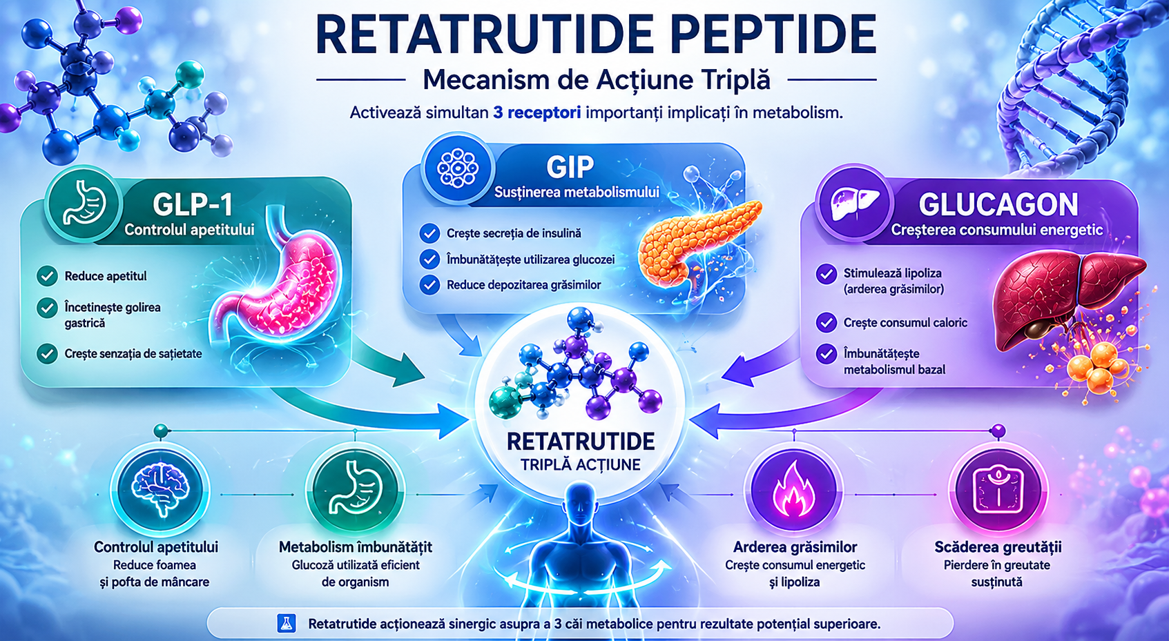 Retatrutide Metabolic Peptide Infographic Metabolic peptide infographic Retatrutide